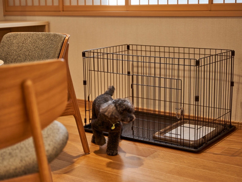 スタイルツイン＜ペット（小型犬10㎏以下）同室可＞