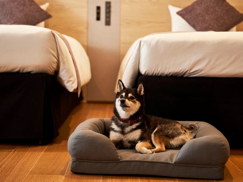 スタイルツイン＜ペット（小型犬10㎏以下）同室可＞