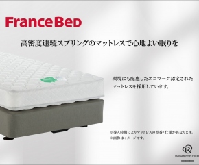 フランスベッドHEC