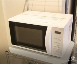 제빙기, 전자레인지