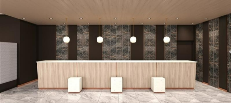 Daiwa Roynet Hotel 银座 PREMIER