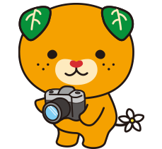 みきゃんのアイコン